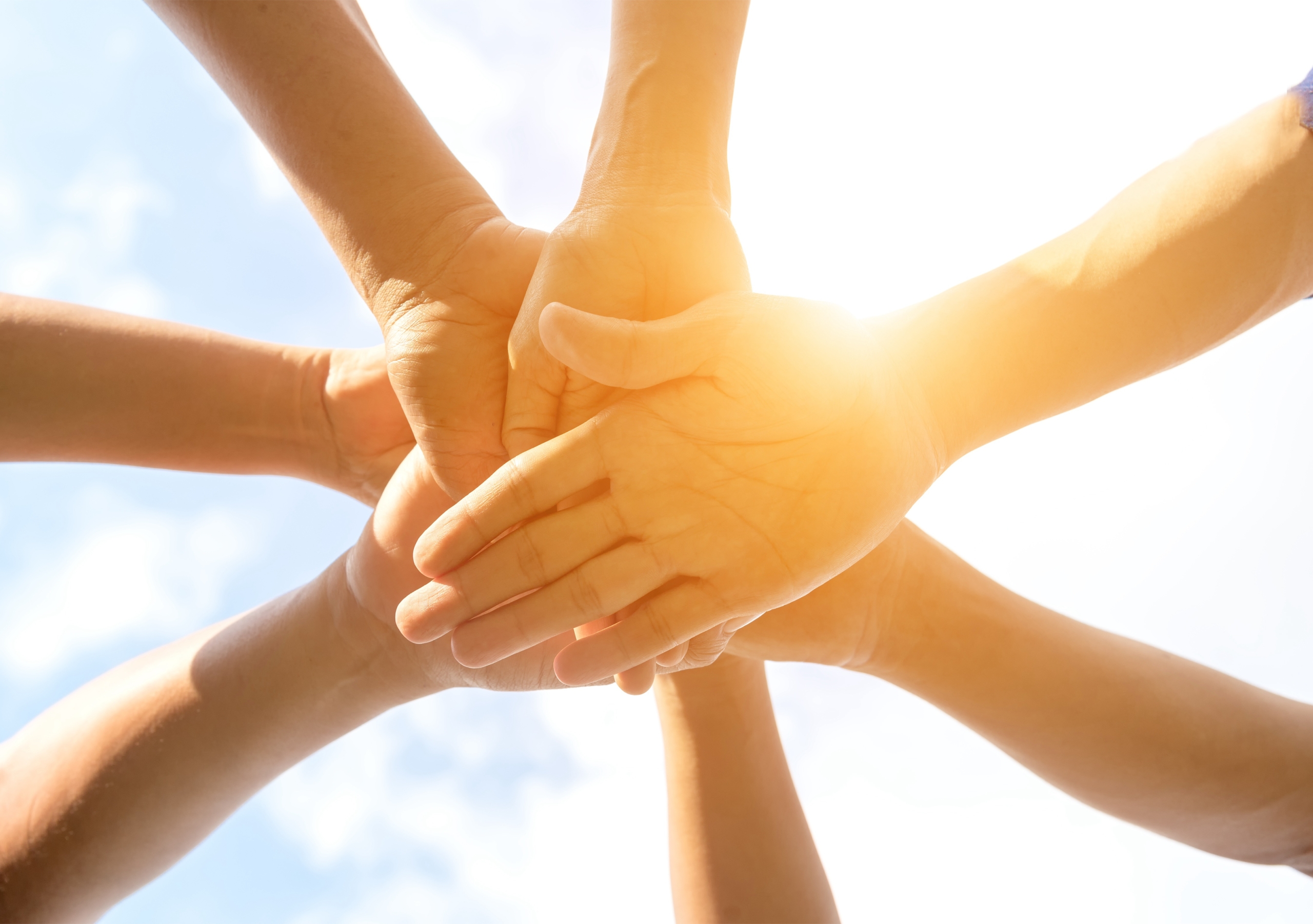 WZI Patientenbeirat - Titelbild